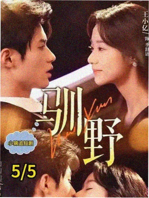 热播剧集在线观看 十九层 海报